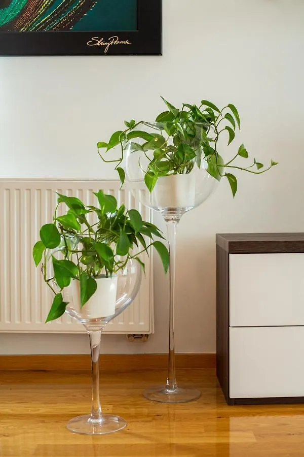 La maison de luxe Ljubljana Appartement